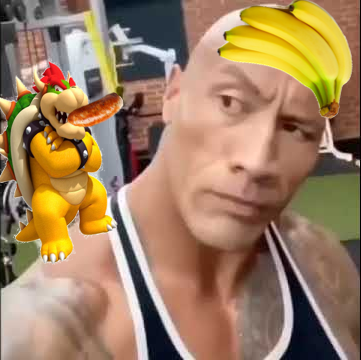 So Long Gay Bowser